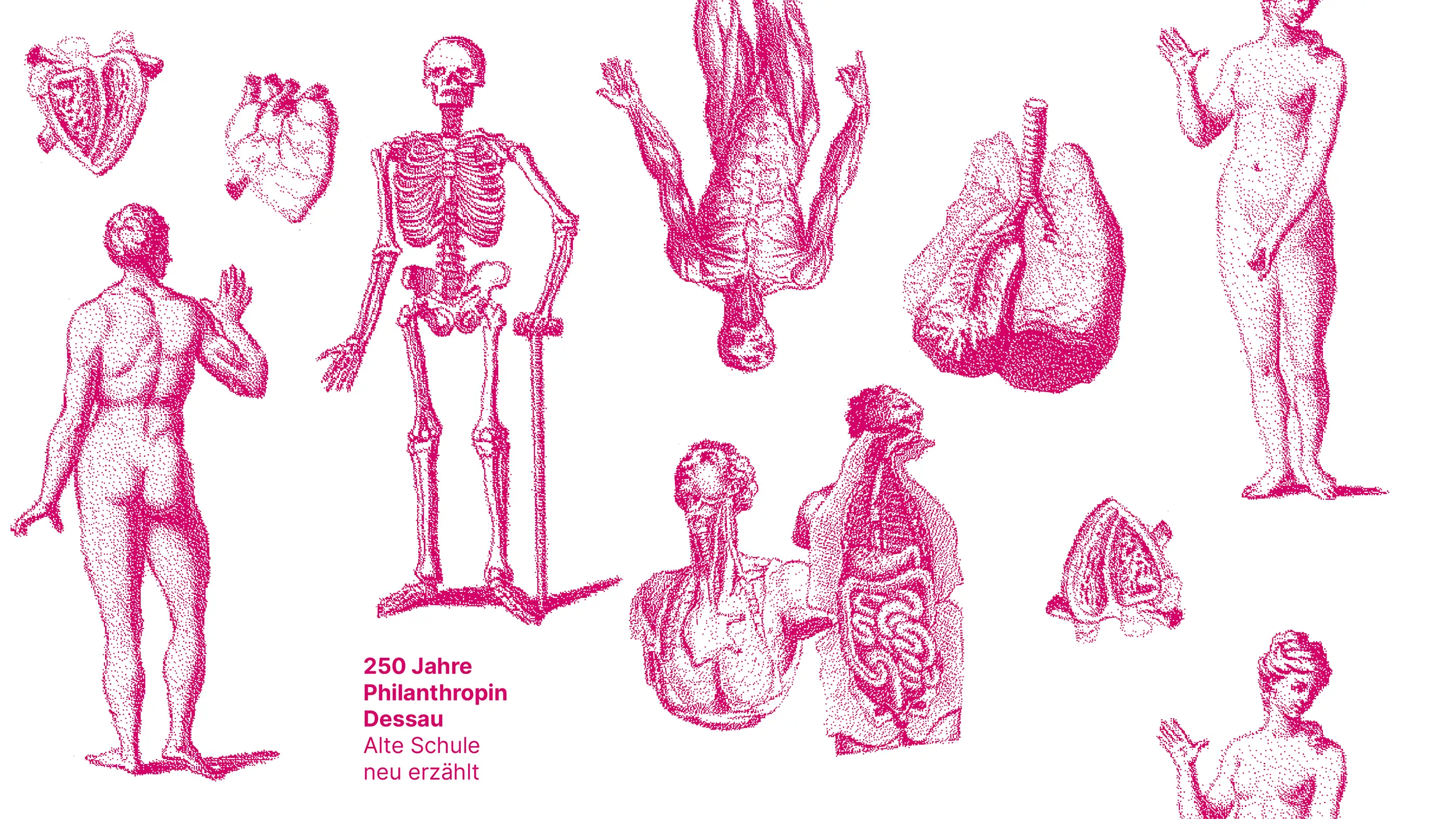 Projekt 03 – Bild 5