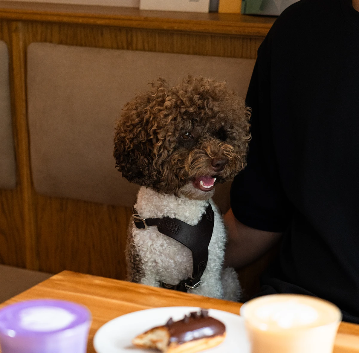 Projekt 03 – Bild 11