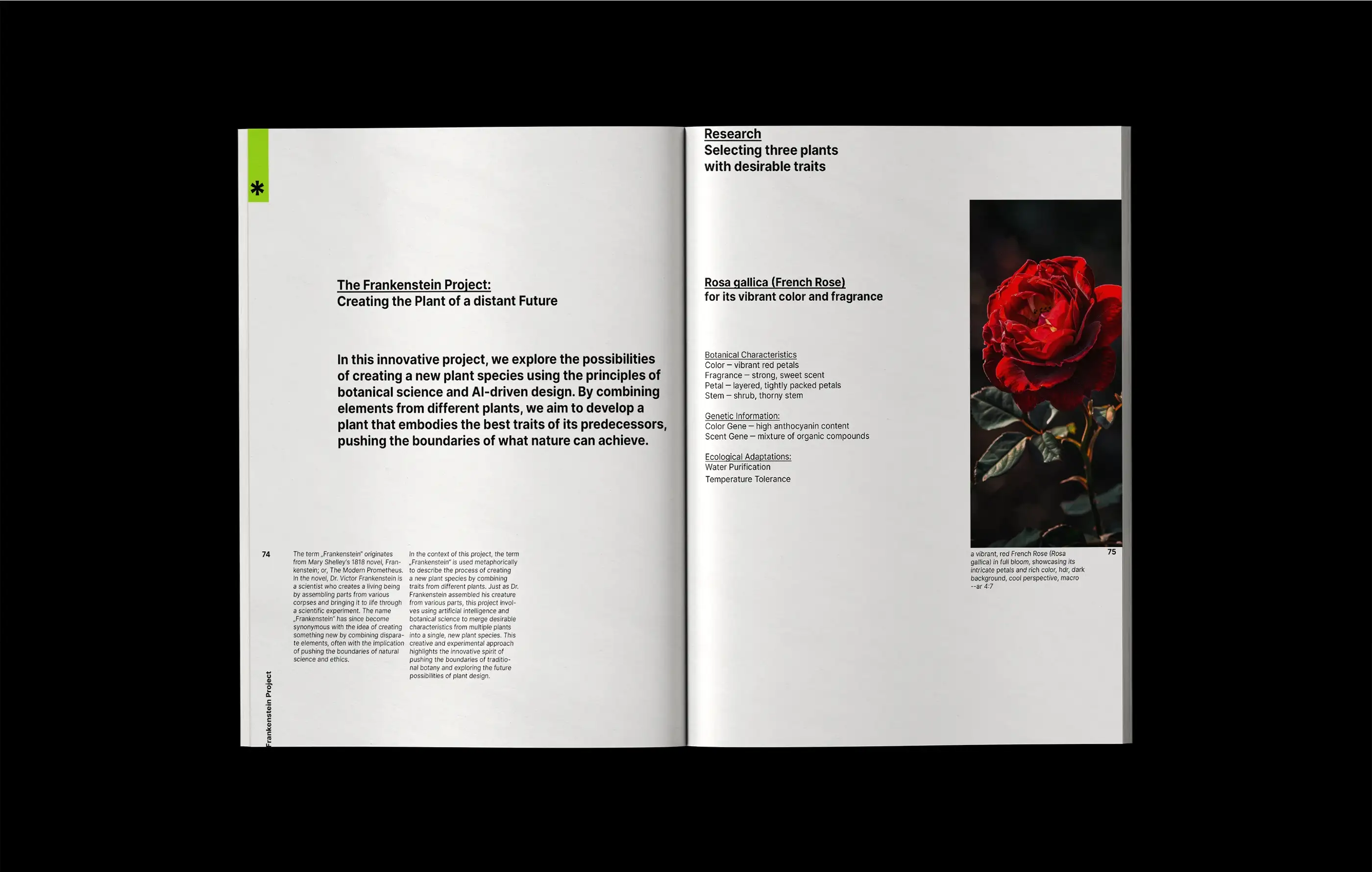 Projekt 10 - Bild 10